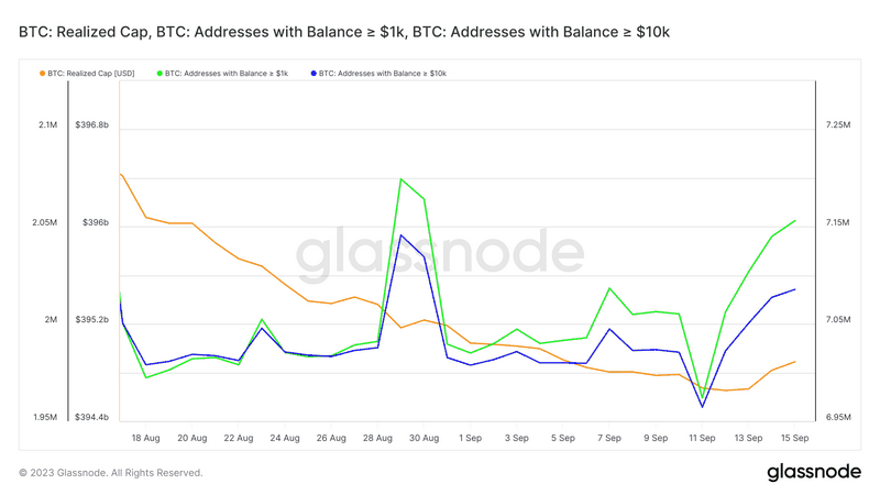 Vkladéra: Obchodování s kryptoměnami s využitím umělé inteligence je nyní snadné